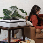 Andover Audio - SpinBase 2 Powered Turntable Speaker