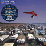 Pink Floyd - A Momentary Lapse Of Reason (Remixed & Updated) Half-Speed Mastered 45rpm (180g) (2LP) - Vinyl Provisions