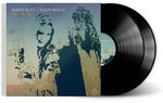 Robert Plant & Alison Krauss - Raise The Roof (180) (2LP) - Vinyl Provisions